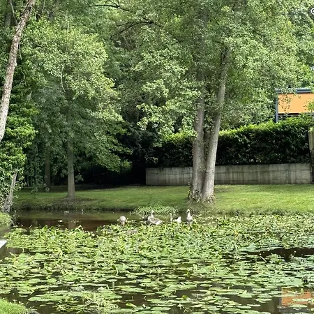 Au Moulin Et Restaurant Bischwiller