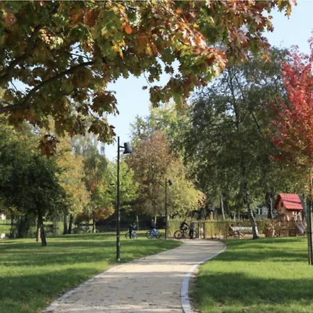 Au Moulin Et Restaurant * Bischwiller